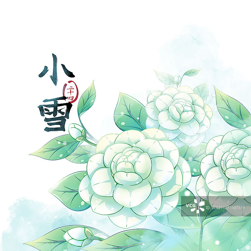 小雪节气——山茶花——二十四节气系列唯美花卉插画图片素材