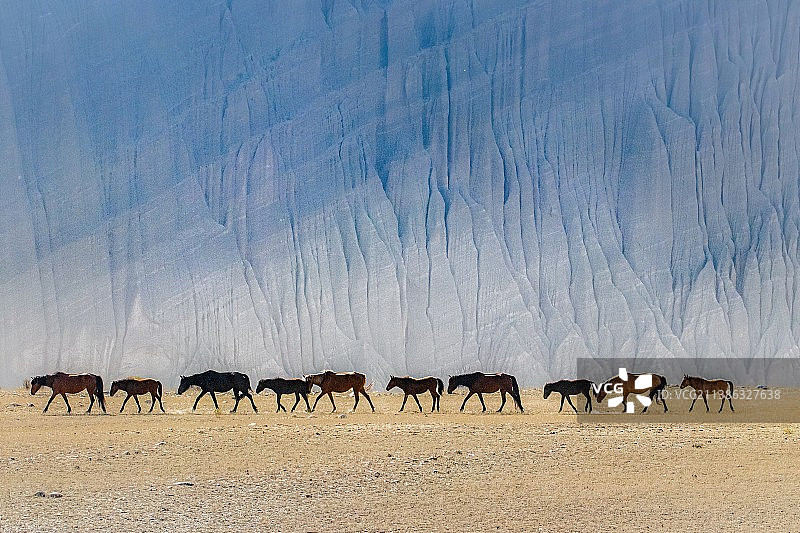 新疆安集海大峡谷的马队图片素材