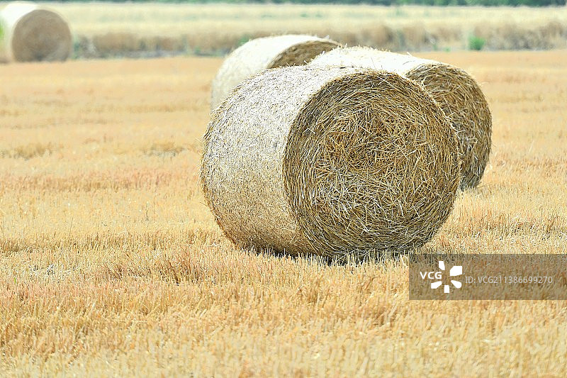 麦秸秆草团图片素材