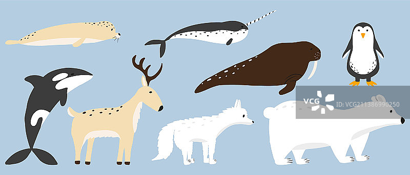 北极动物群图片素材