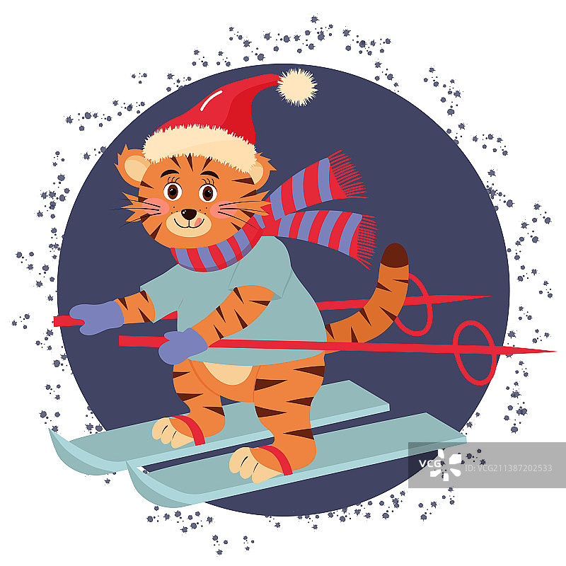 可爱的老虎戴着帽子和围巾在滑雪图片素材