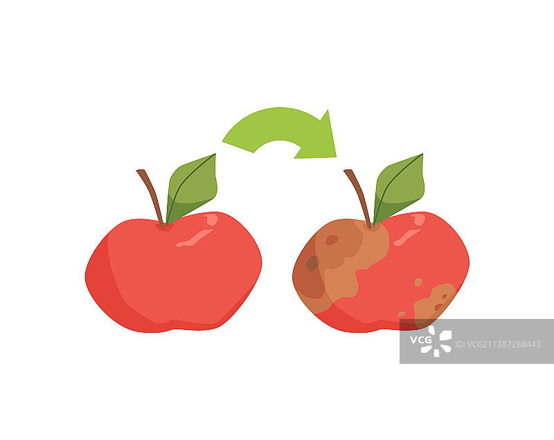 箭头显示了新鲜苹果是如何变得不能吃的图片素材