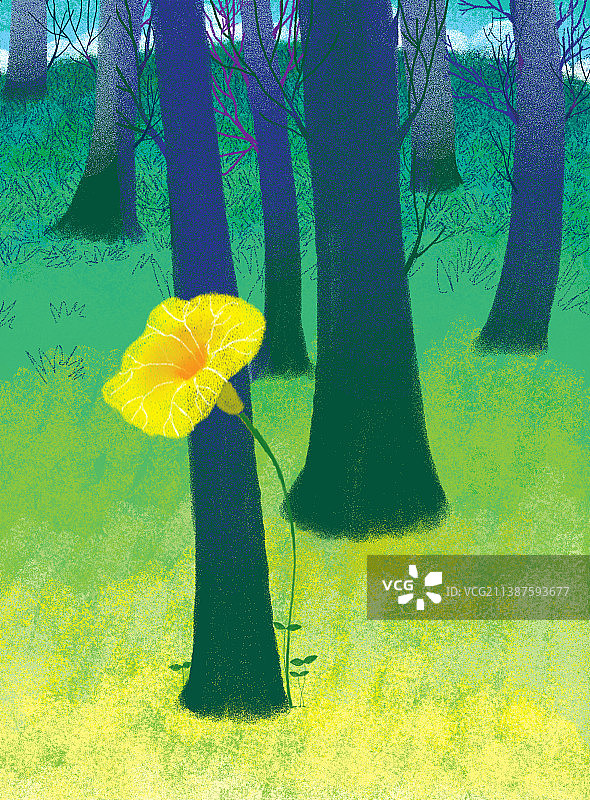 树林里那一朵黄色的花开了图片素材