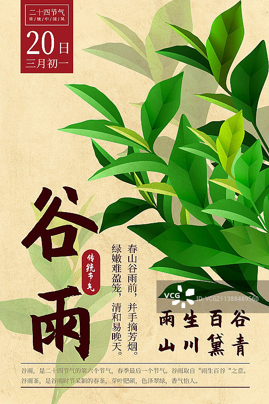 二十四节气新中式植物海报-06谷雨-茶叶图片素材