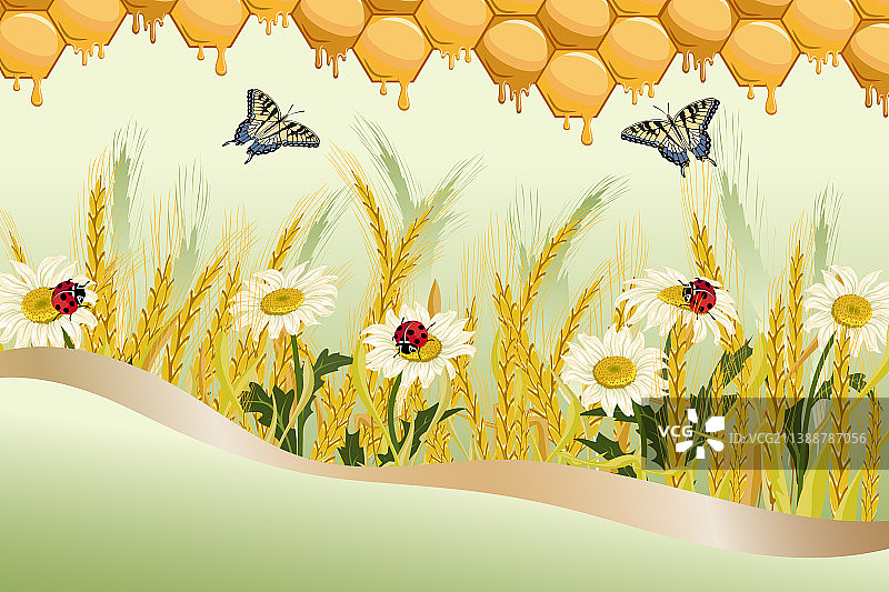 鲜花和蜂巢在图片素材