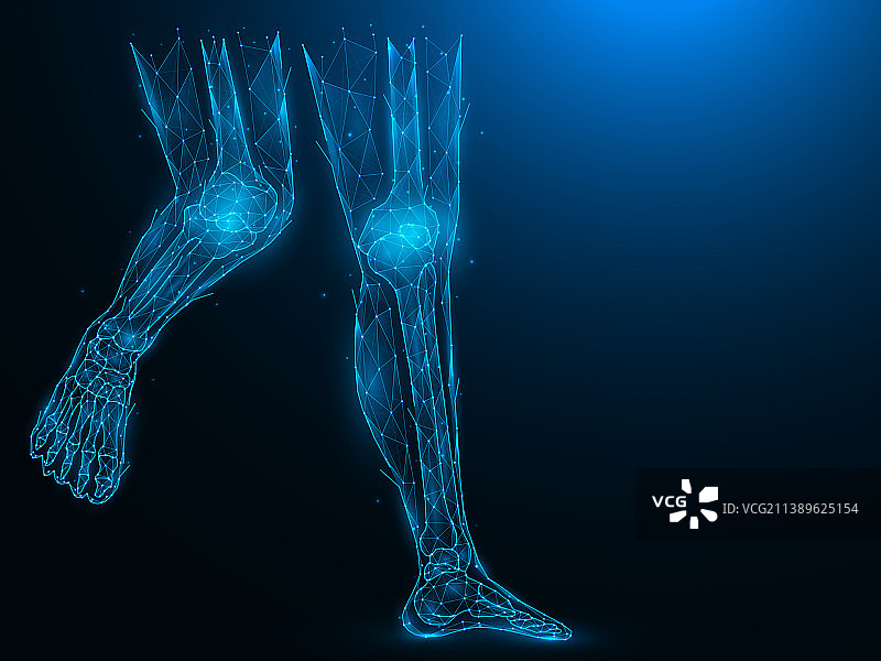 人腿多边形的解剖学概念图片素材