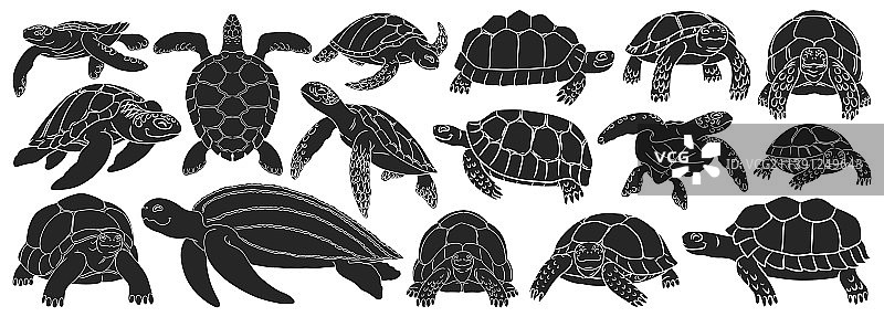 海龟黑色设置图标图片素材
