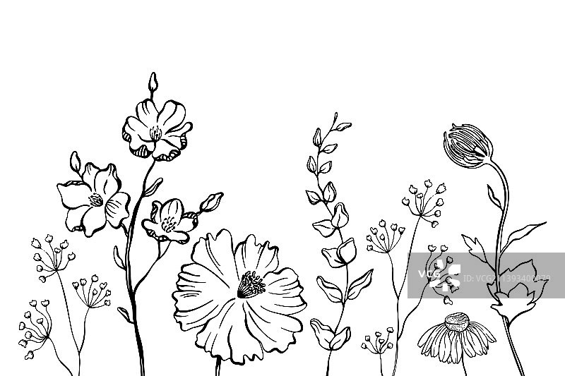 草花和香草的黑色剪影图片素材