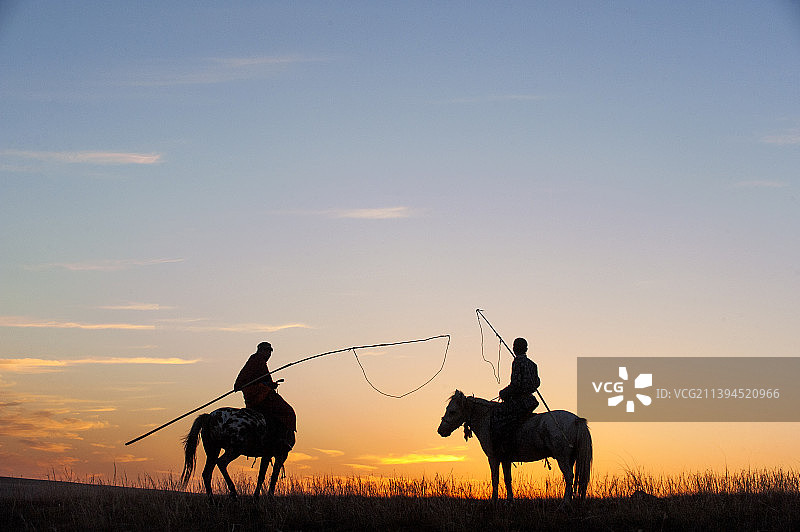 锡林格勒草原的秋天和蒙古族骑手图片素材