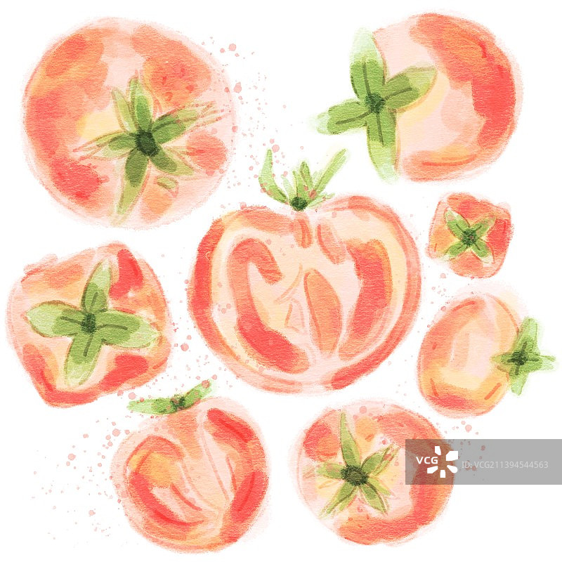 水彩水果西红柿图片素材