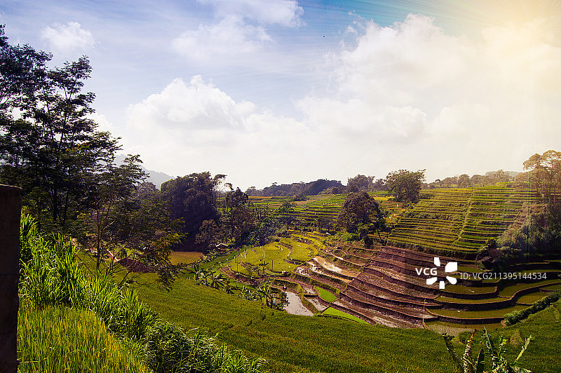 风景如画的农田对天空，特拉瓦斯，印度尼西亚图片素材