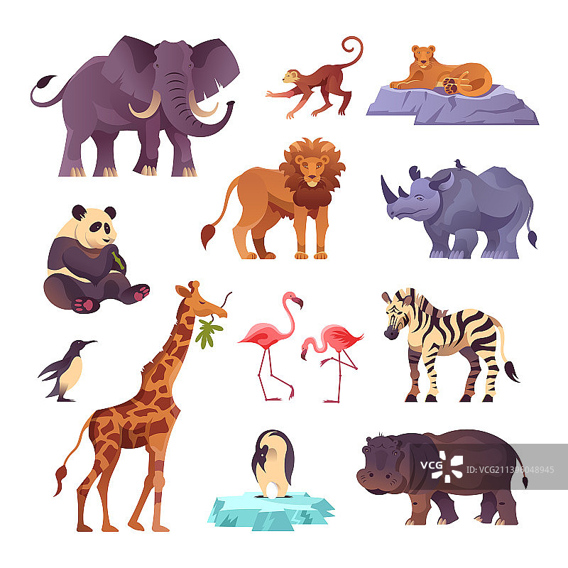 动物园的动物组图片素材