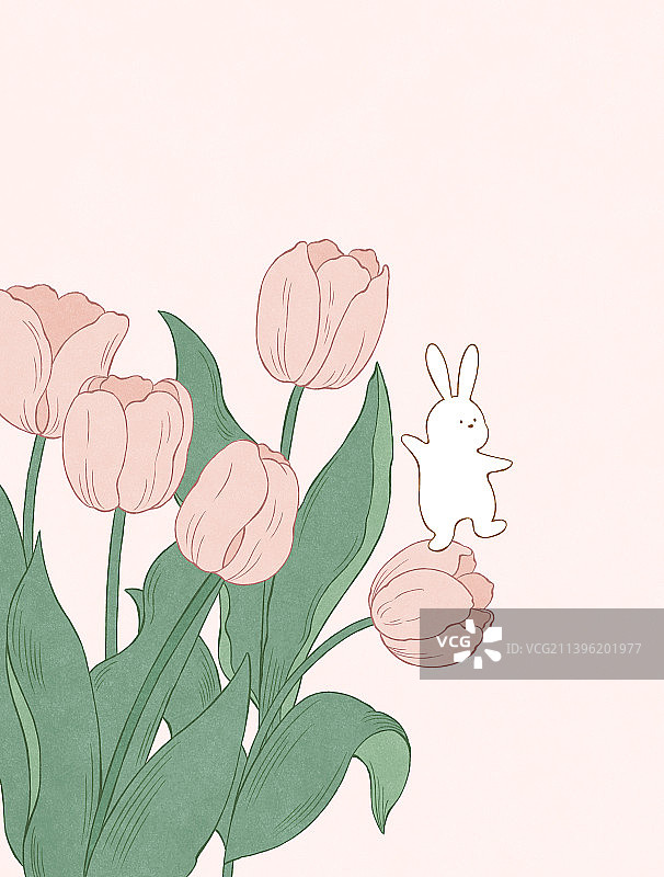一只兔子在郁金香花上跳舞图片素材