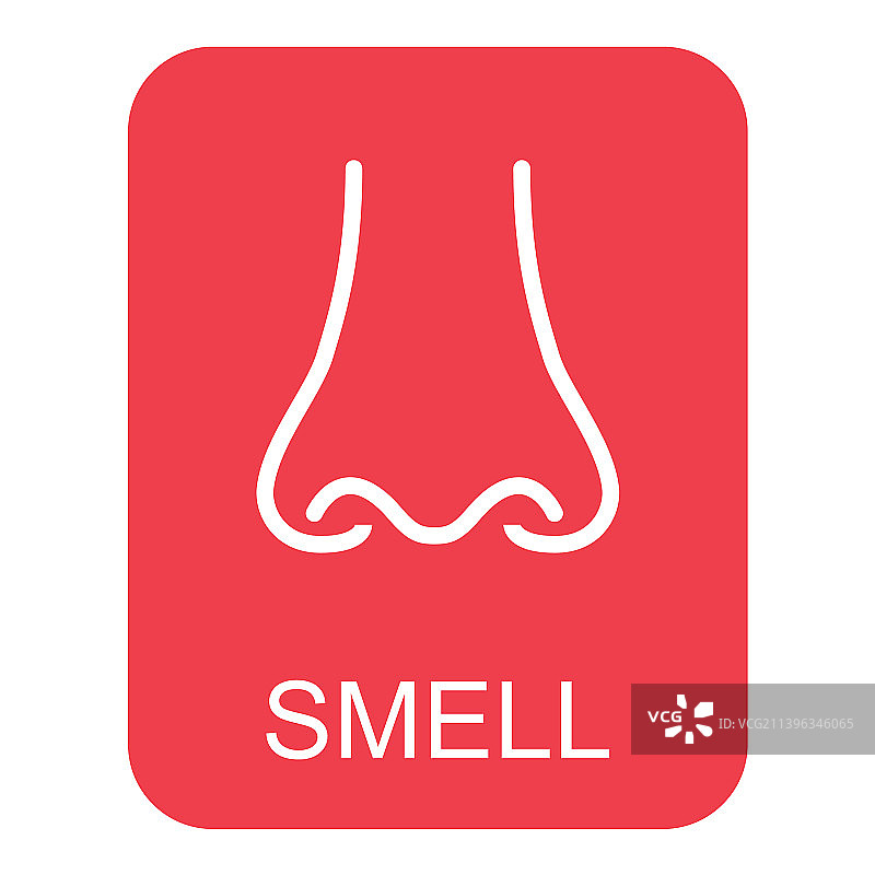 人的扁平鼻子象征着嗅觉健康器官图片素材