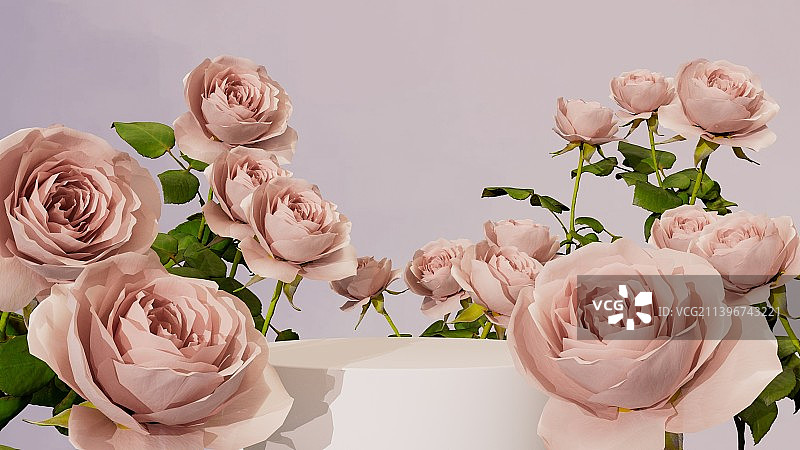 iDSTORE-3D渲染超现实花系列场景产品展台图片素材