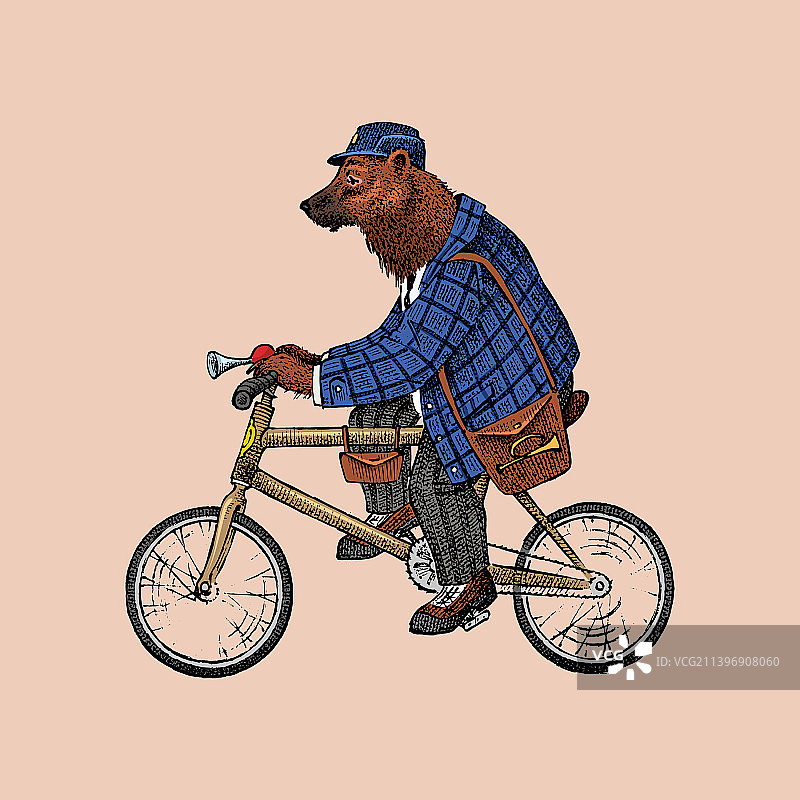 棕熊骑自行车古董绅士在一个图片素材