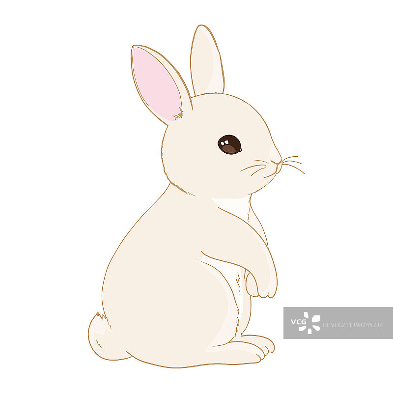 手绘小兔子可爱的小兔子图片素材