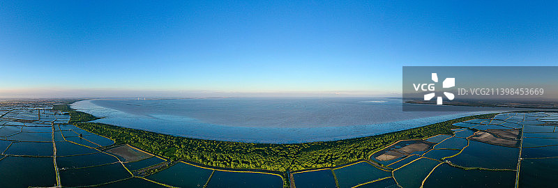 湛江，雷州湾，红树林带图片素材