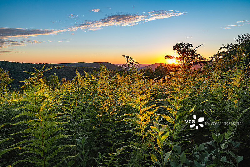 在日落期间，Tiadaghton国家森林，美国，美国的田野对天空的风景图片素材