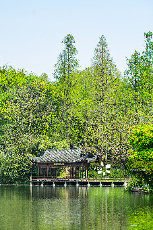 杭州花圃 杨公堤 江南园林 公园景观 春景 春天风光图片素材