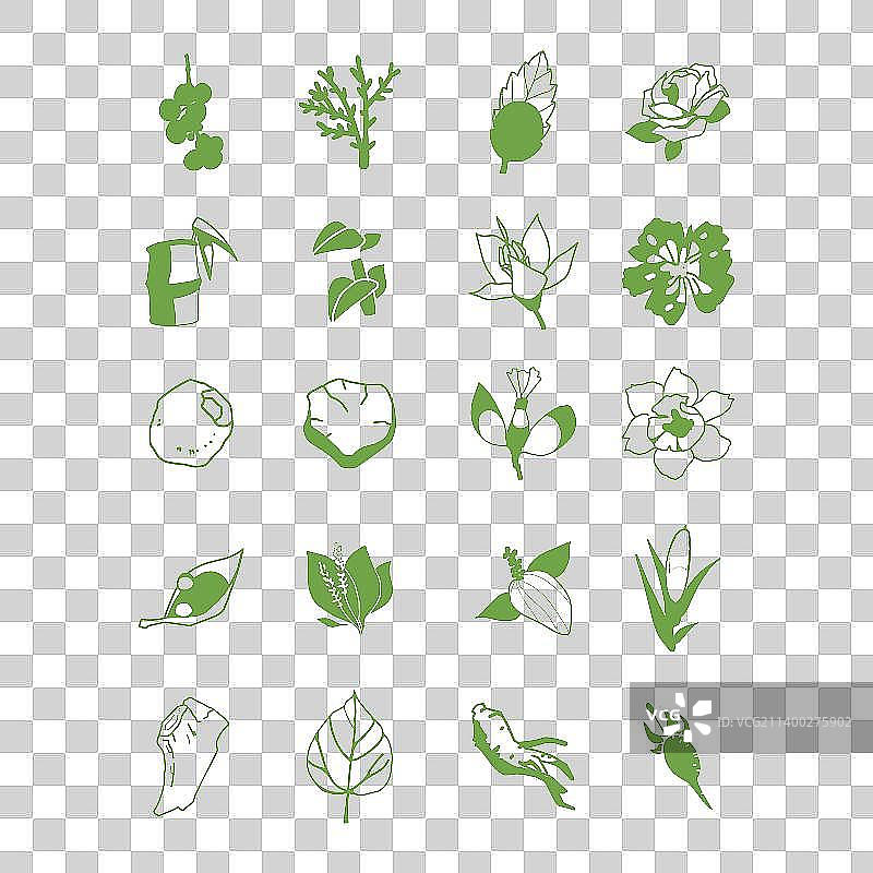 20种花草中药植物简笔画图标设计2图片素材