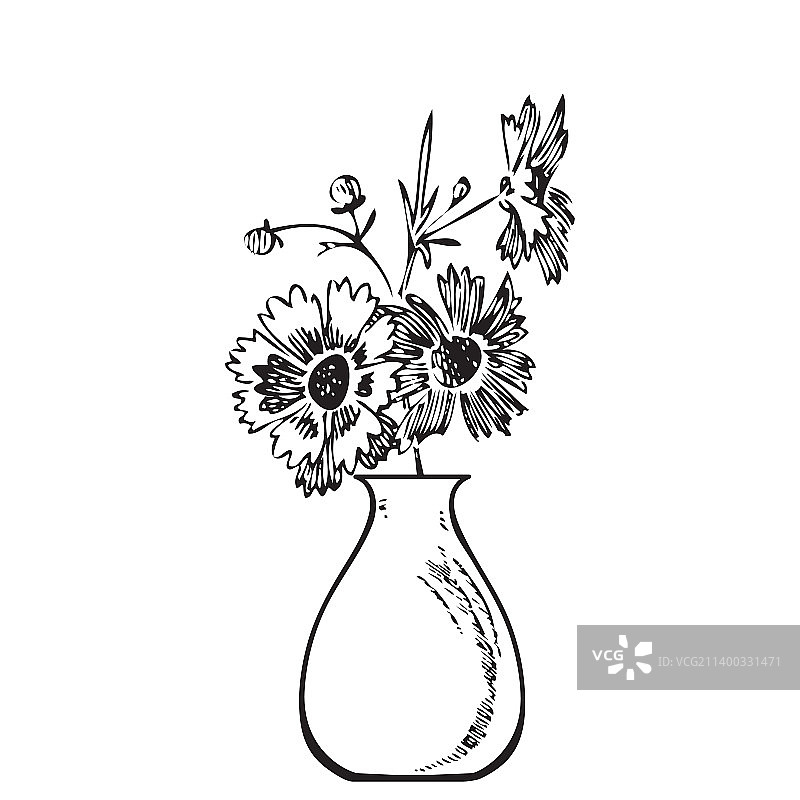 手绘花束菊花在花瓶图片素材