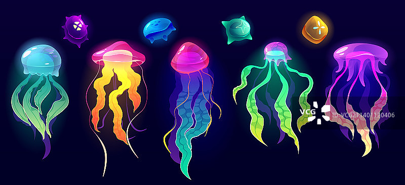 水母水下动物五颜六色的水母图片素材