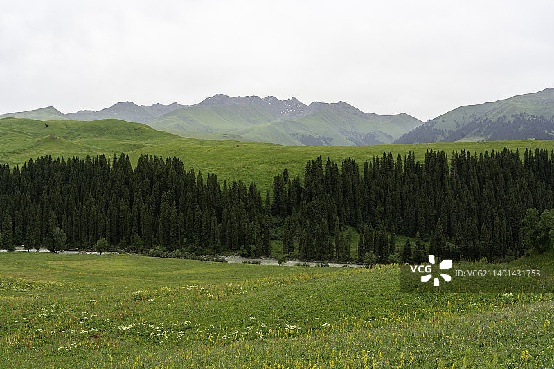 新疆唐布拉草原，百里山水画廊图片素材