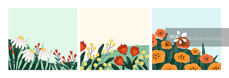 夏季花卉背景设置花卉方卡图片素材