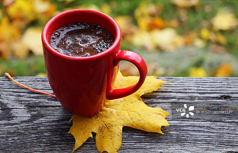 模糊的秋叶背景与热杯咖啡，美国，美国图片素材