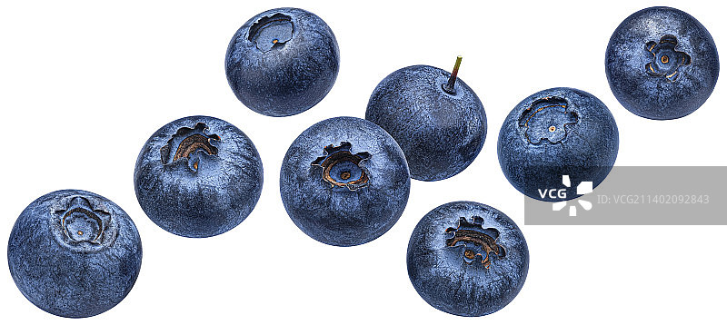 落下的蓝莓孤立在白色背景图片素材