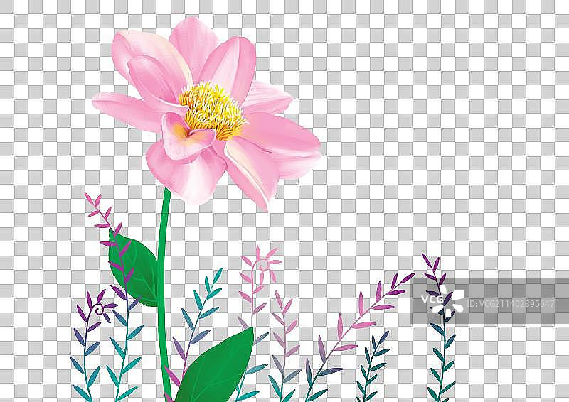 一朵盛开的粉色花图片素材