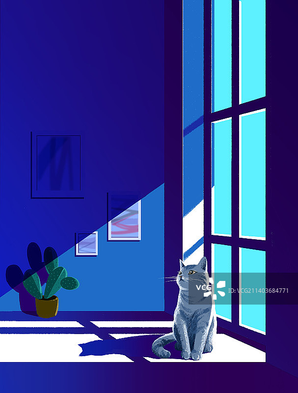 夜色下窗边的猫和光影图片素材