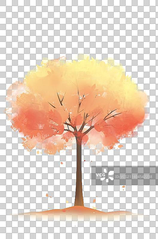 一年四季的树系列——秋图片素材