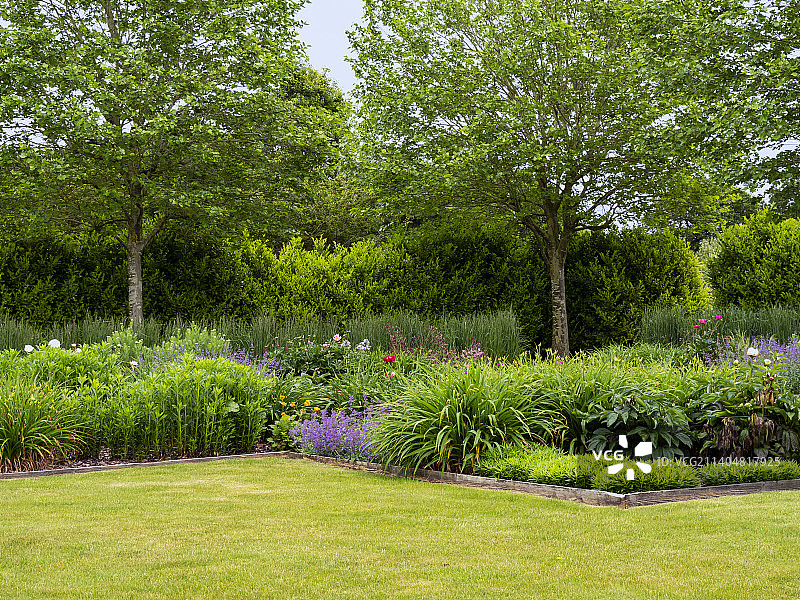 夏季花园中的花坛和绿色草坪图片素材