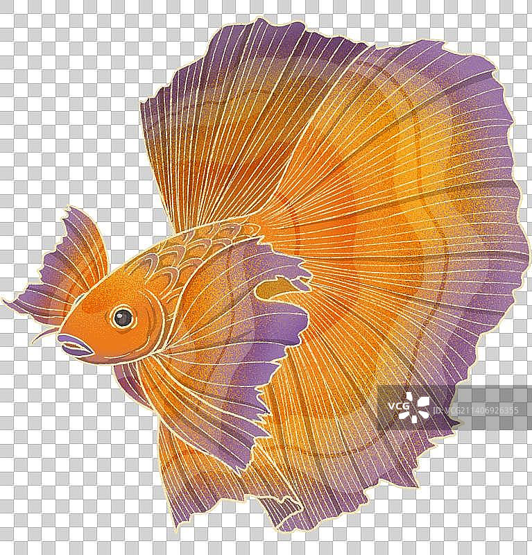 优美橙色斗鱼国风免抠元素图片素材