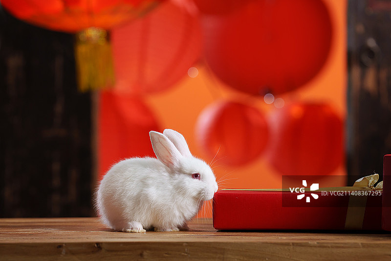 新年礼物盒和兔子图片素材