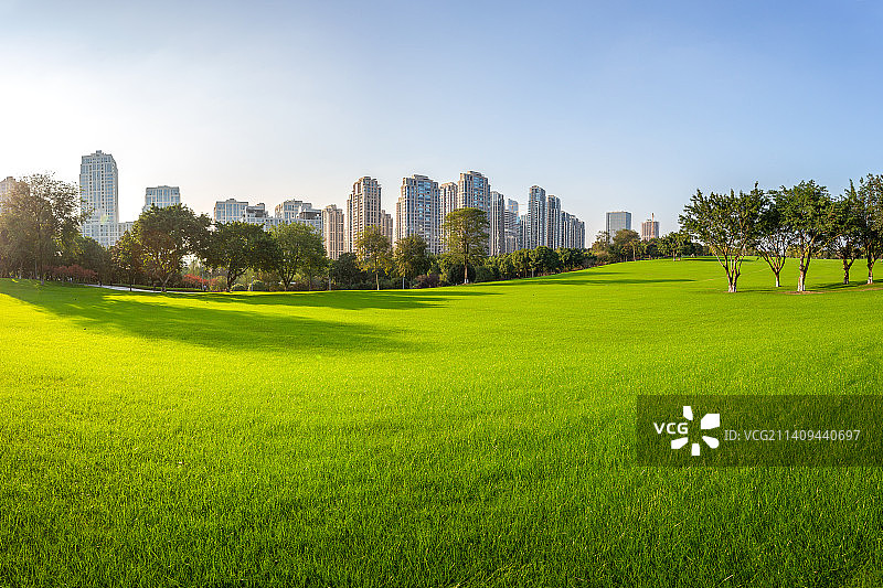 重庆中央公园的绿草地与城市建筑图片素材