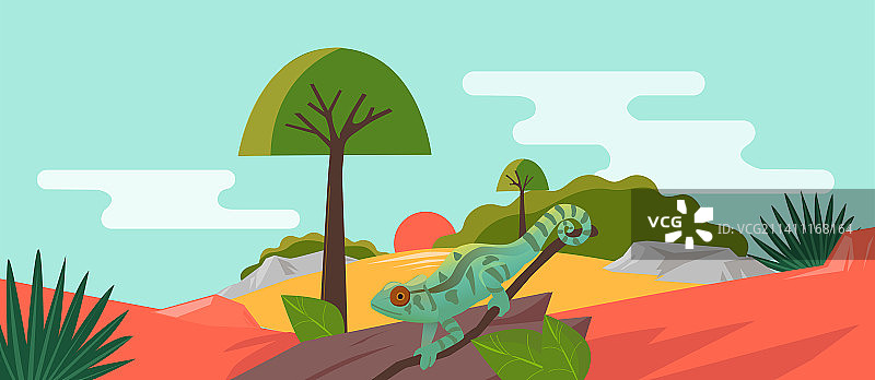 一款非洲变色龙动物插画，也可用于设计模版/包装等。图片素材