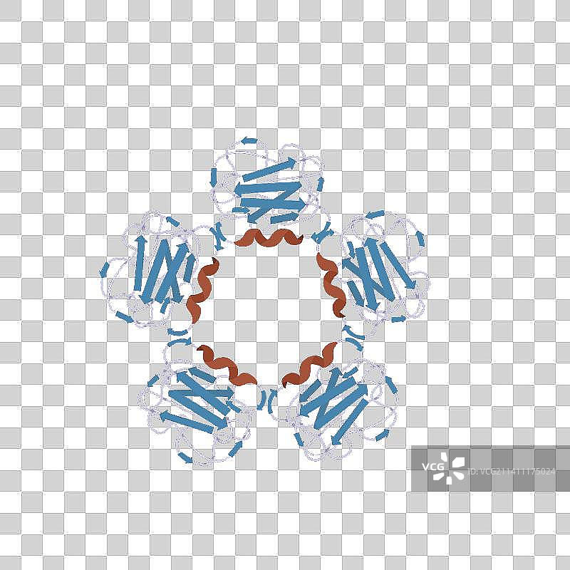C反应蛋白图片素材