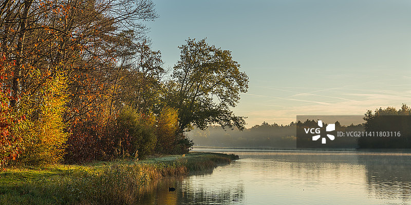 秋天的湖在晨光-波克里克，比利时图片素材