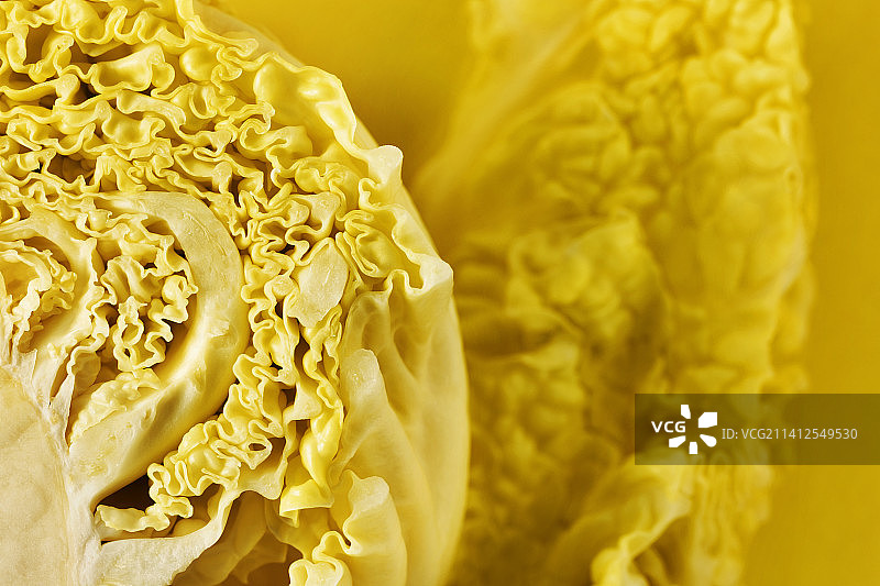 黄色花朵的特写，罗马，意大利图片素材