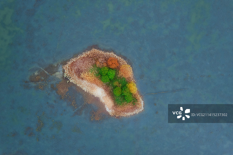 无锡贡湖湾水上森林图片素材