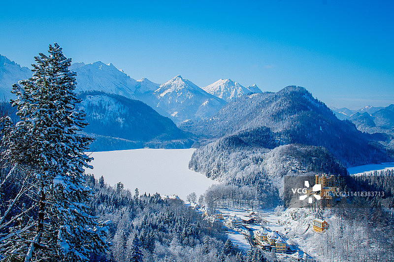 新天鹅堡 冬天 德国 旅拍 雪景图片素材