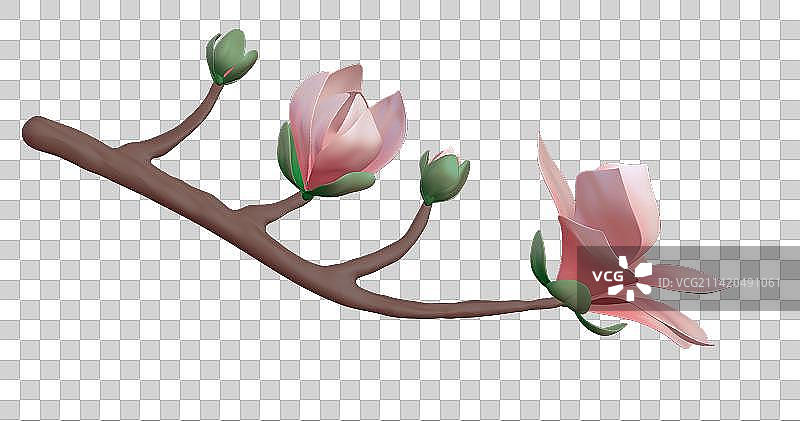 立春-玉兰花-3d立体元素图片素材
