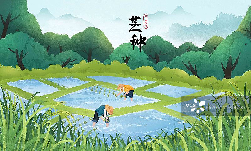 中国风传统文化芒种节气传统农田农民插秧图片素材
