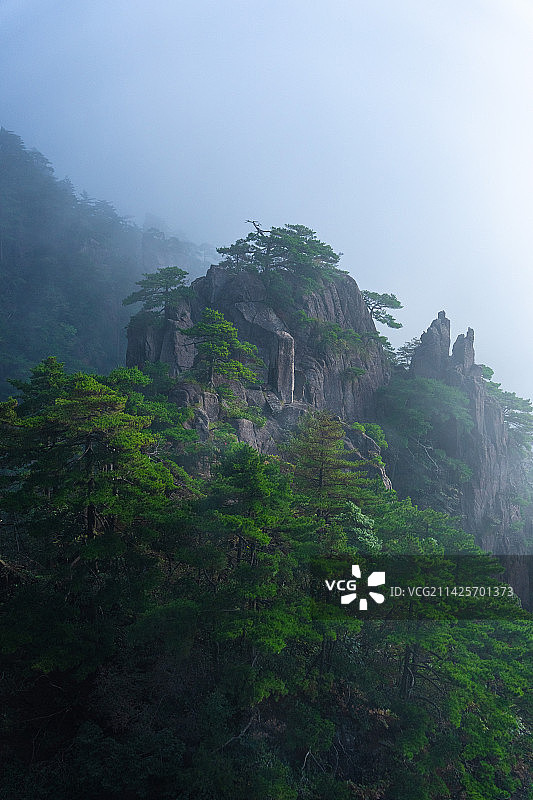 云雾笼罩的层叠山峰与岩石植物图片素材