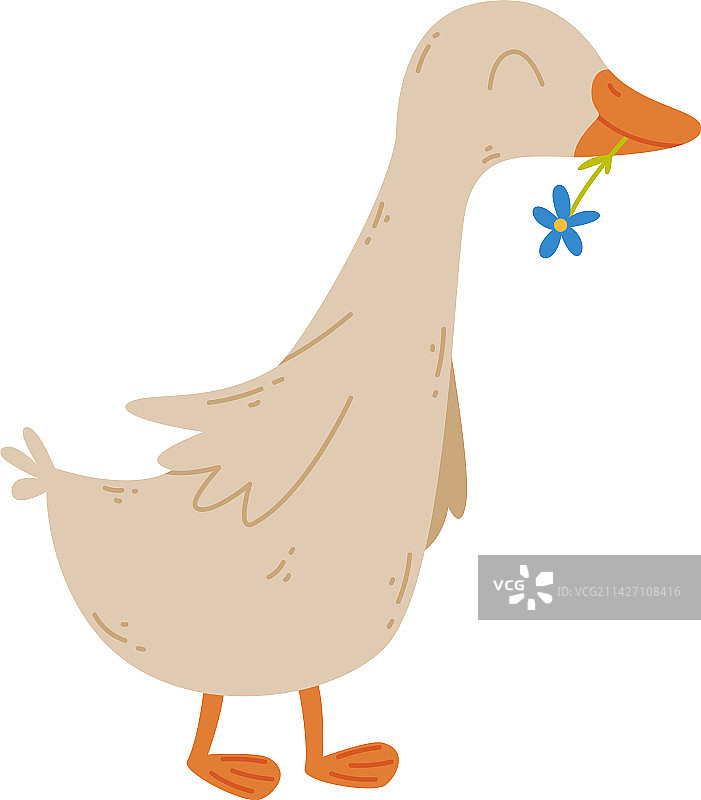 可爱的小鹅可爱的农场家禽鸟卡通图片素材