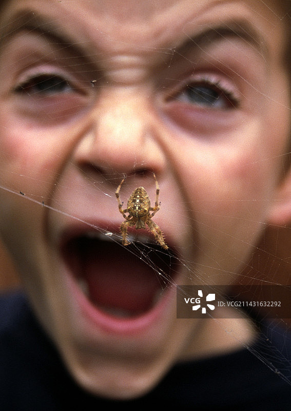 被蜘蛛吓坏的尖叫男孩的脸图片素材