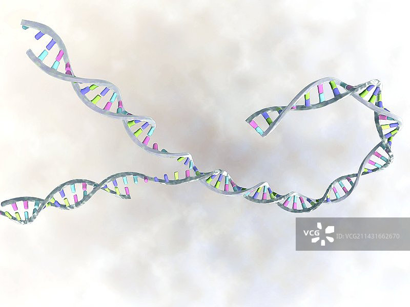 DNA复制，艺术品图片素材